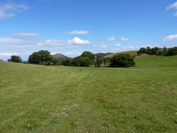 Habberley