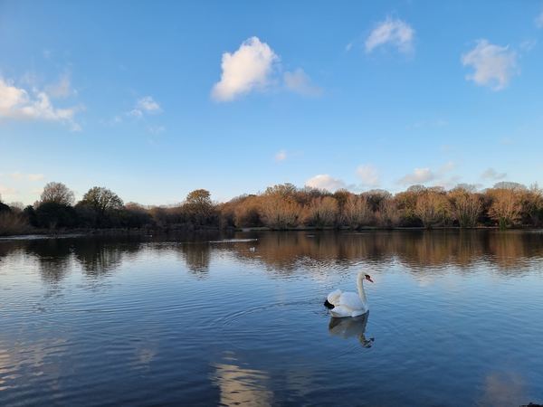 Hainault