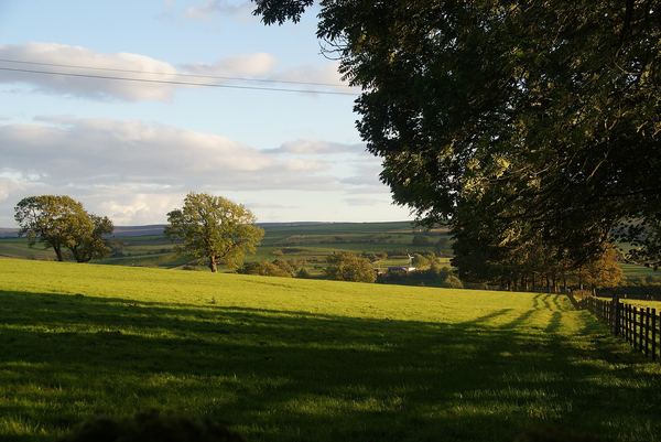 Halton East