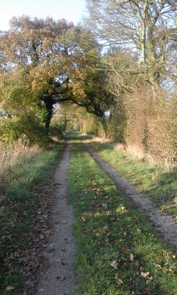 Hamstreet