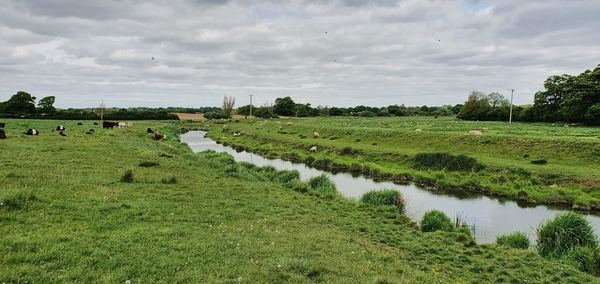 Henfield