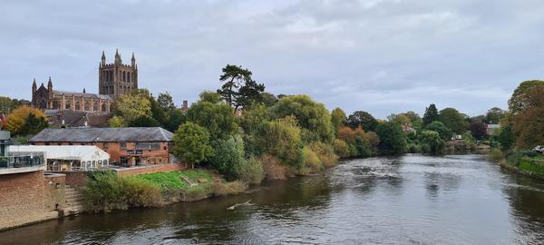Hereford