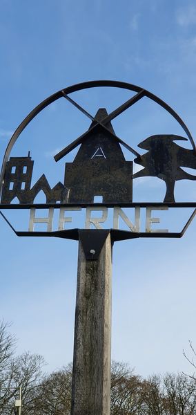 Herne