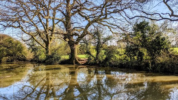Hinckley