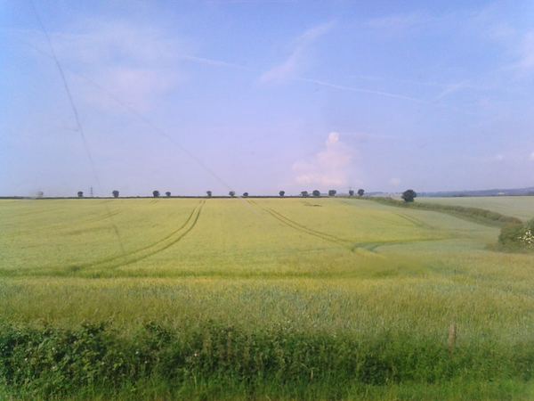 Holmewood