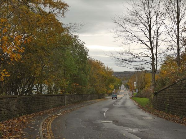 Holmfield