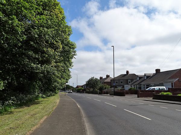 Holystone