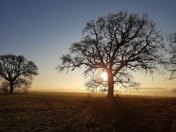 Honington