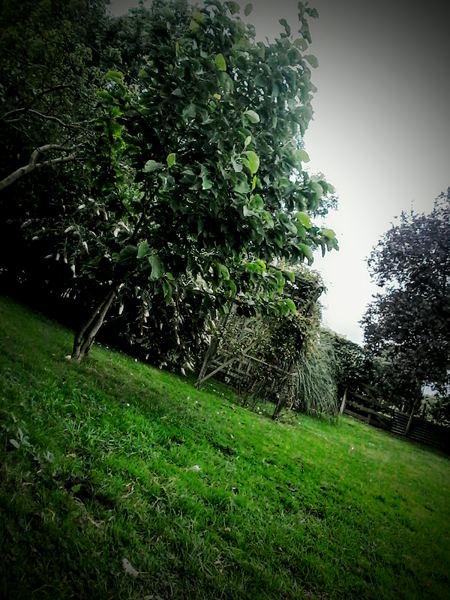 Horsington