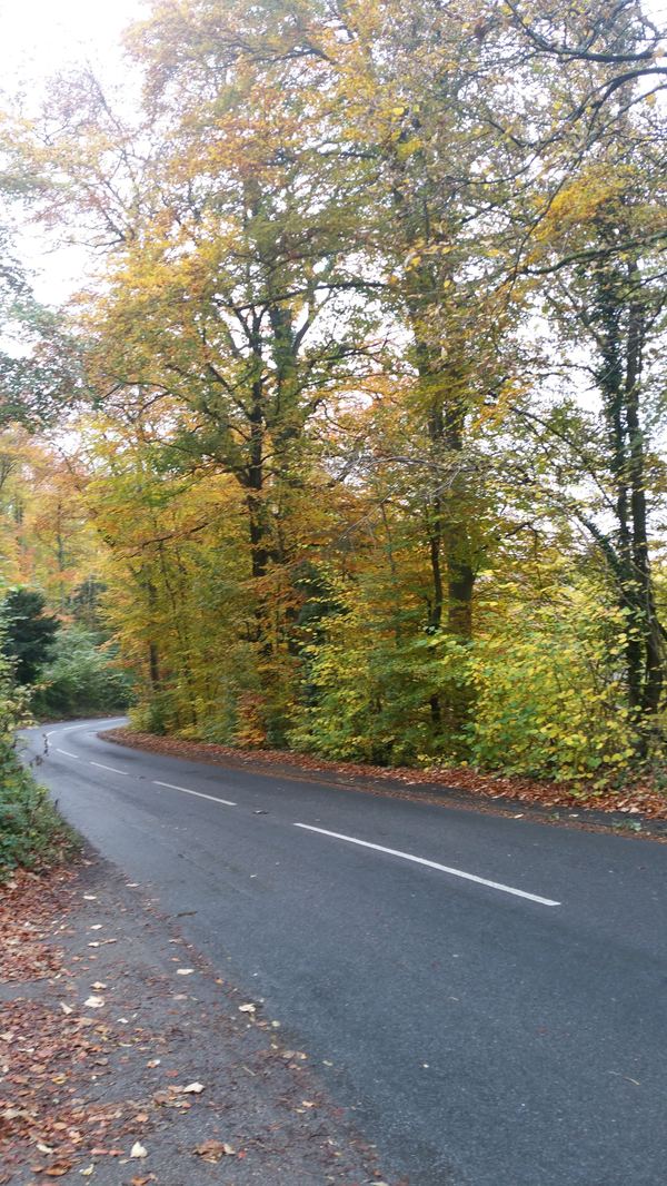 Horsley