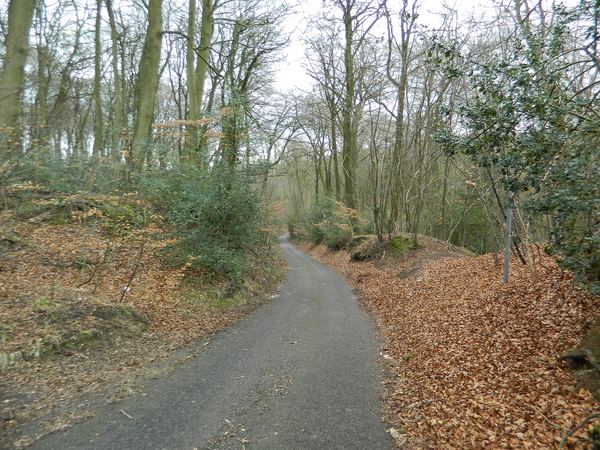 Horsleys Green