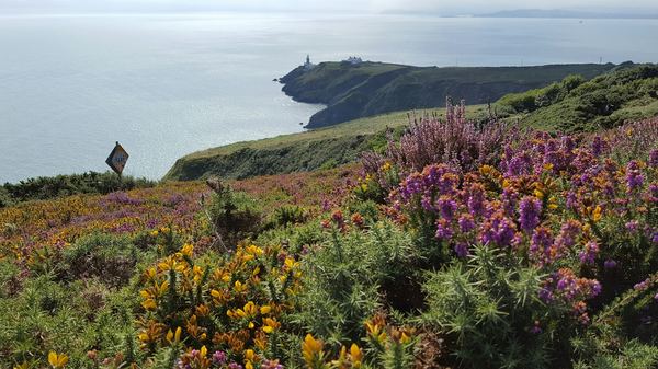 Howth