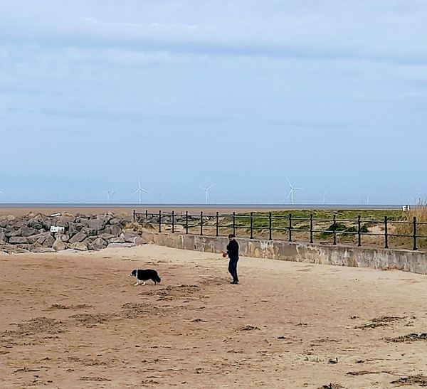Hoylake