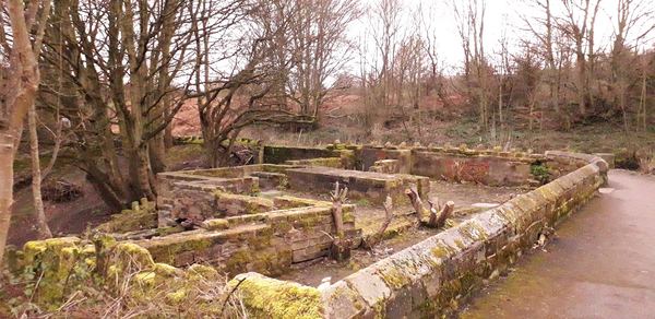 Hoyle Mill