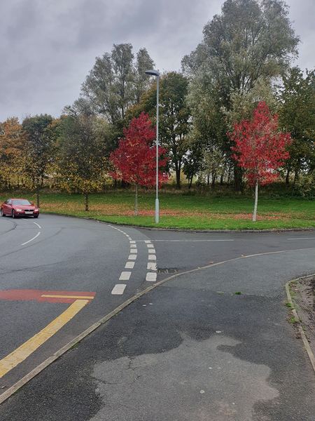 Huyton