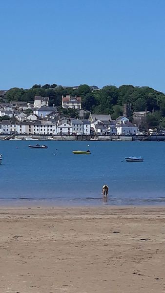 Instow