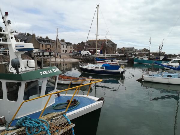 Johnshaven