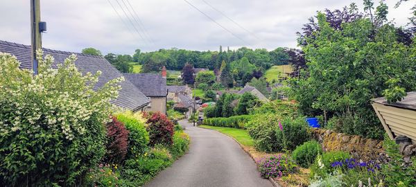 Kniveton