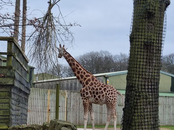 Knowsley