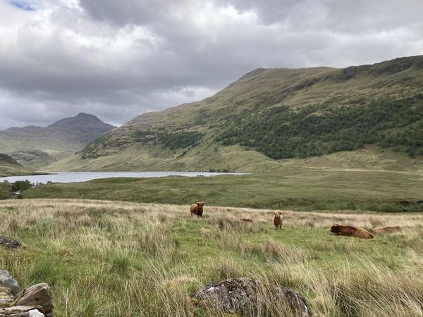 Knoydart