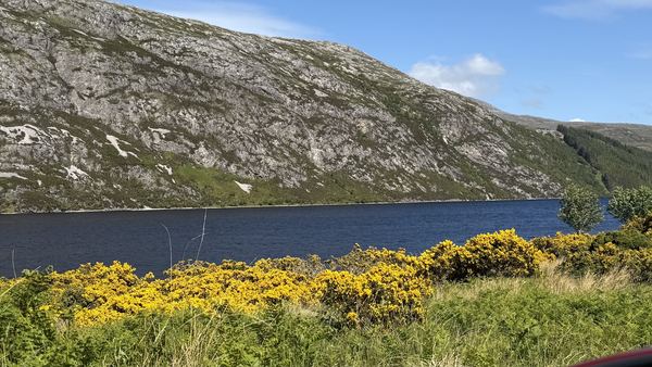 Lairg