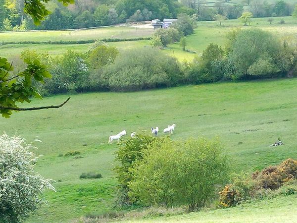 Leverton