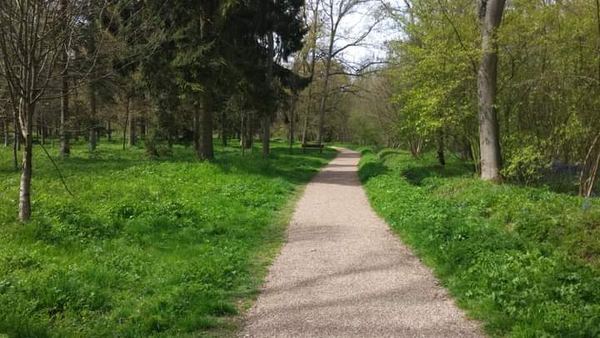 Linford Wood