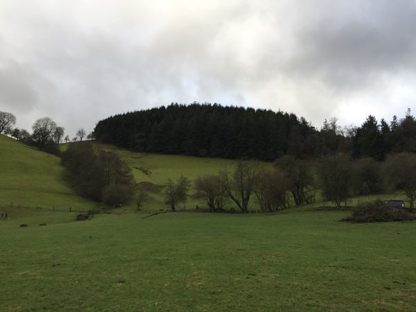 Llanfyllin