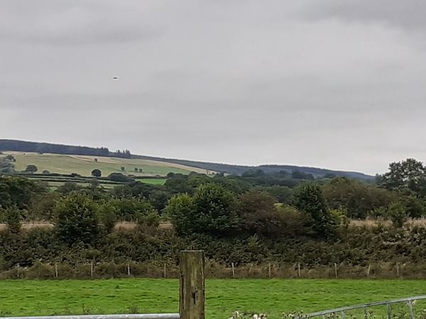 Llangammarch Wells