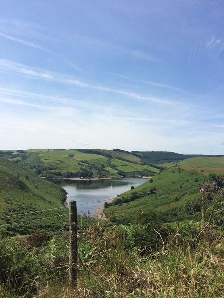 Llawryglyn