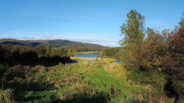 Lochgelly