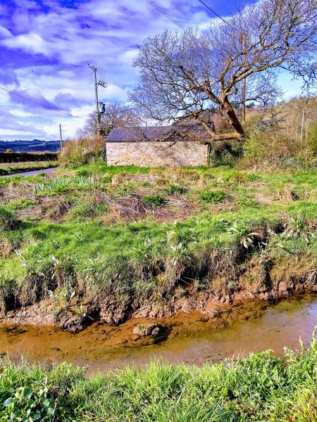 Loddiswell