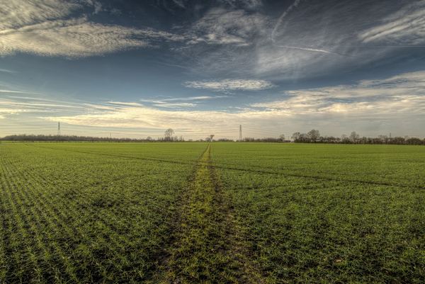 Longwick