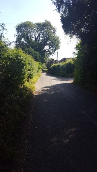 Lower Dean