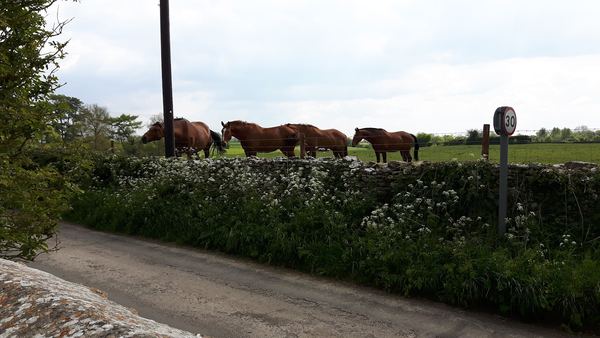 LOWER STANTON ST QUINTIN