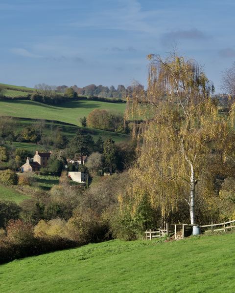Lower Swainswick
