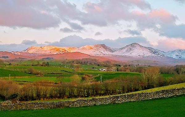 Lowick Green