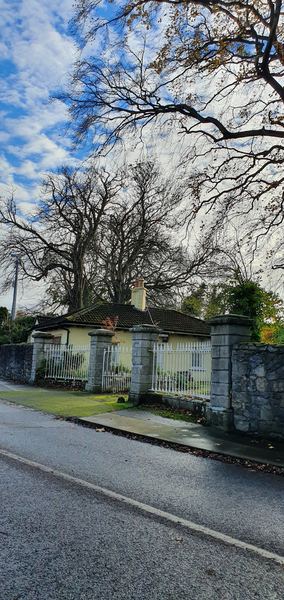 Lucan