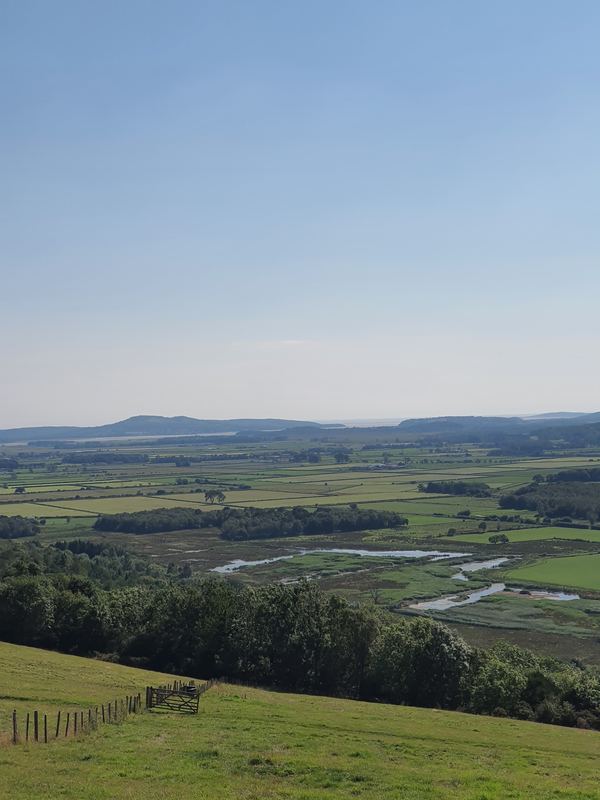 Lyth Valley