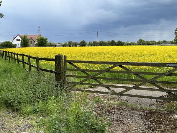 Marston Moretaine