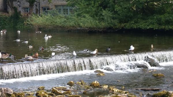 Matlock