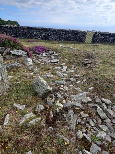 Maughold