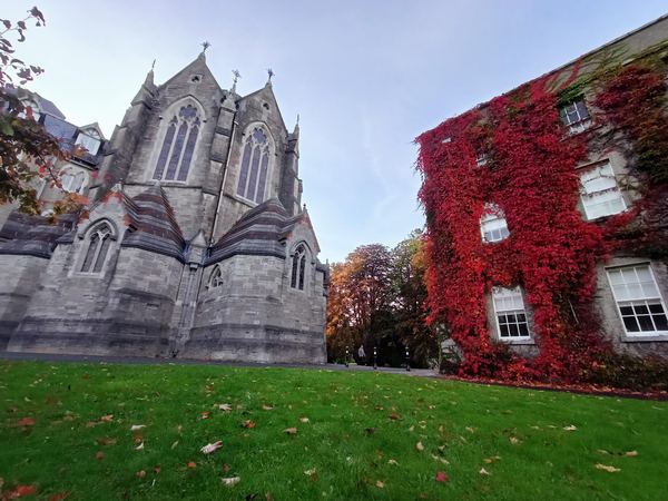 Maynooth