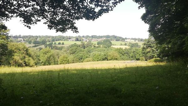Meanwood