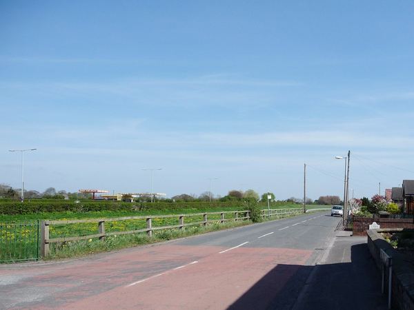 Mere Brow