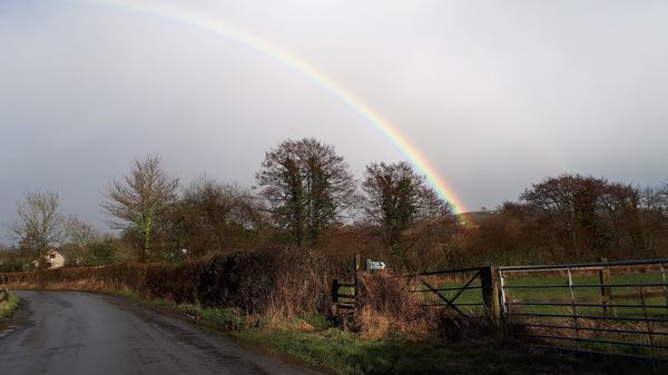 Mid Devon