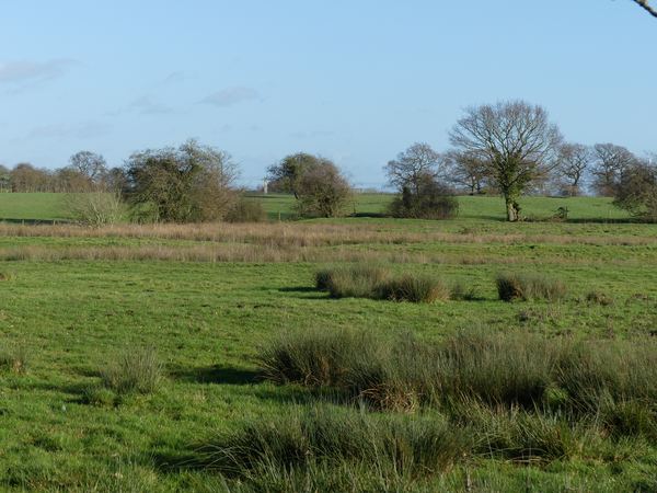 Minshull Vernon