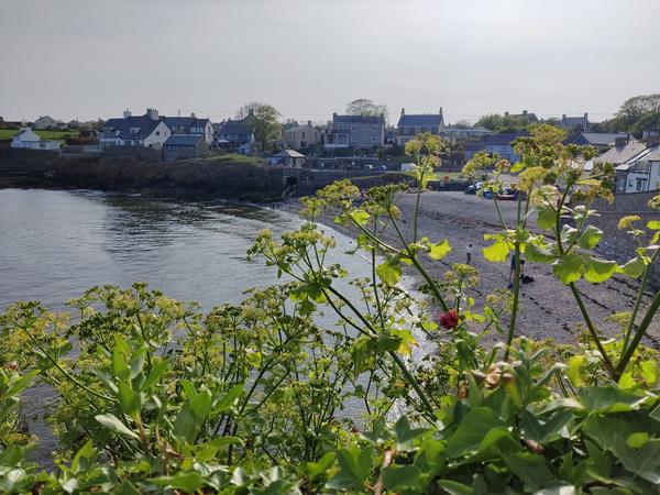 Moelfre
