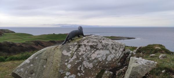 Monreith