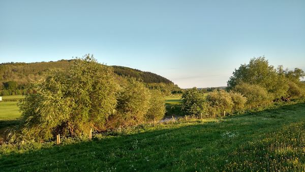 Mordiford